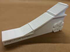 IMG_1316.jpg