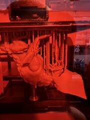 IMG_5660.JPEG