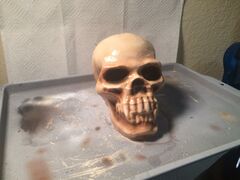 Vampire Skull Painted.JPG
