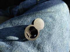 IMG_20210520_080631.jpg
