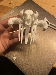 IMG_4193.jpeg