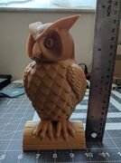 IMG_20170916_104909.jpg