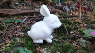 20200902_184353.jpg