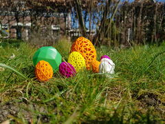 20200407_153151.jpg