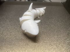 Shark 2.JPG