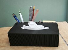 tissuebox3.jpg