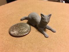 Cat.JPG