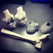 tmf-bones.jpg