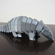 Pangolin 3.jpeg