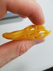 20170728_123621.jpg