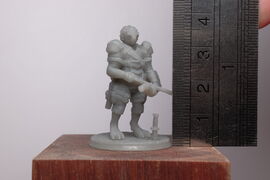 DSCF9537.JPG