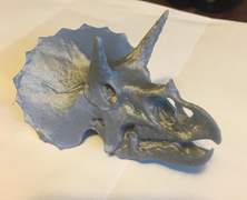 Triceratops View 1 Edited.png