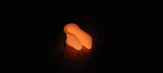 20210813_204800.jpg