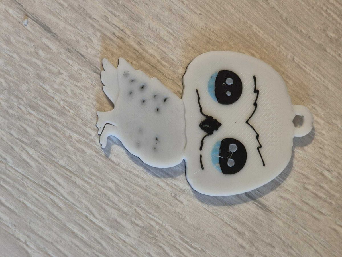 WhatsApp Image 2026-01-23 at 16.40.37.jpeg