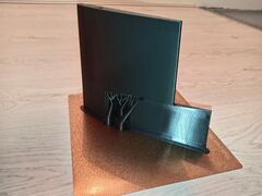 WhatsApp Image 2026-02-11 at 23.33.25 (2).jpeg