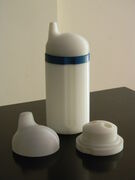 DSCN8707.JPG