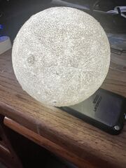 IMG_2787.jpeg