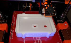 20160811_083213.jpg
