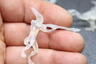 3D Printer Filaments 3D printing photo