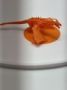 3D Printer Filaments Photo d'impression 3D