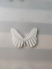 1617474518376.jpg