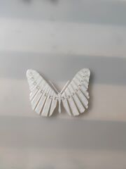 1617474518376.jpg