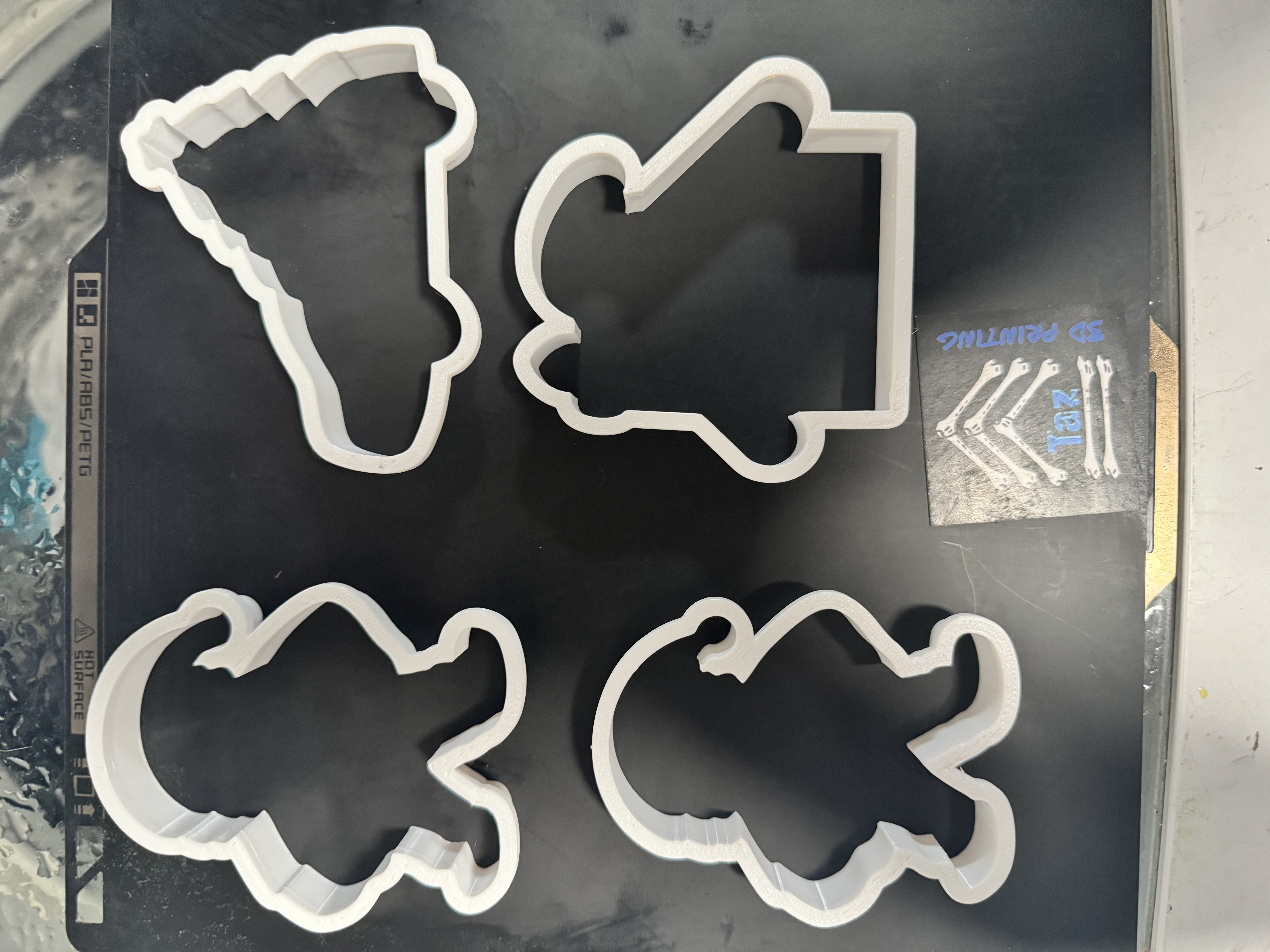 Taz's 3D Printing 3D printing photo