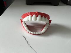 IMG_1872.jpeg
