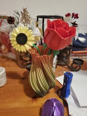 20220102_183351.jpg
