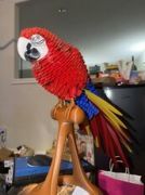 IMG_1335.jpeg