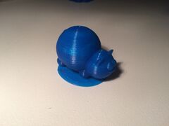 IMG_7897.JPG