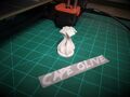 CapeOlive, LLC 3D printing photo