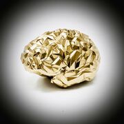 REXROI GOLD.jpg