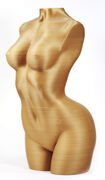 venus001.jpg
