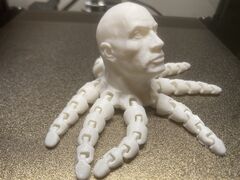 Rocktopus 2.JPG