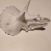 IMG_20180624_204709.jpg