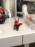 IMG_2399.jpeg