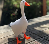 IMG_2438.jpeg