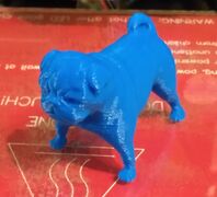 IMG_20170429_182155.jpg