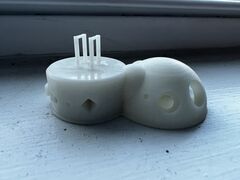 IMG_2819.jpeg