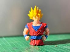 GOKU MULTICOLOR.jpg