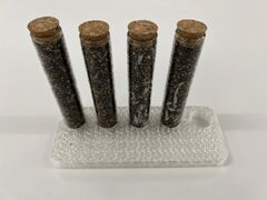 IMG_1042.JPEG