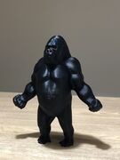 IMG_4144.JPEG