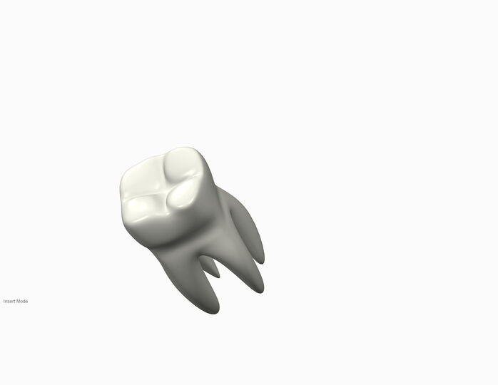 Tooth for Dentist
