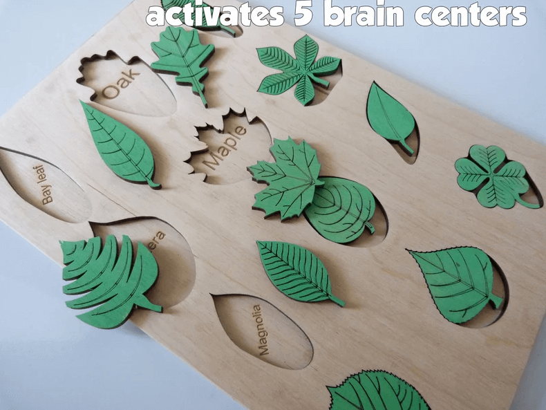 Create Unique Scratch Paper Art with a Laser Cutting Project