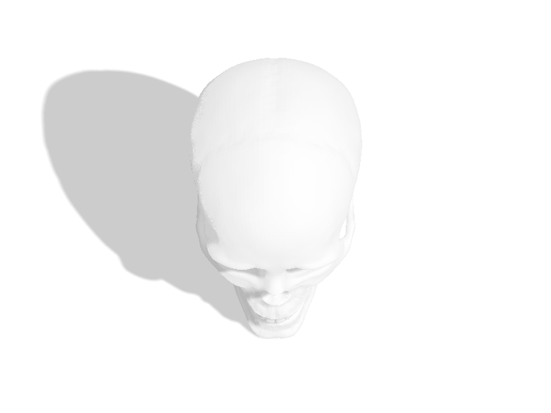 Realistic Human Skull