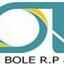 Bole RP & M Co.,Ltd Logo