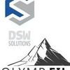 DSW Solutions Logo