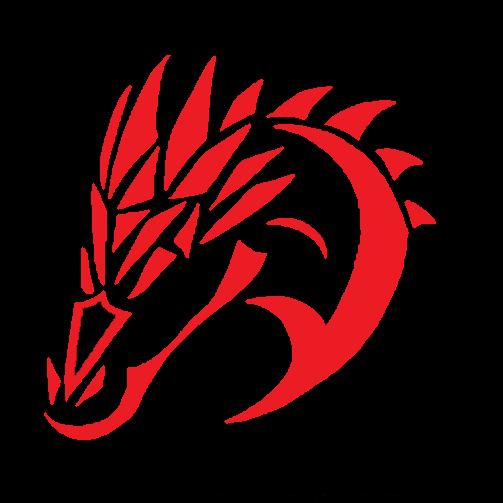 Dragon 3d Printing