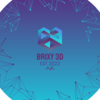 Brixy3D Logo
